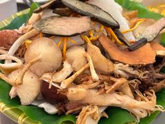 -野菌园·野生菌火锅首创第一家(关兴路总店)