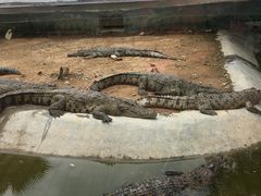 -泉州海丝野生动物世界