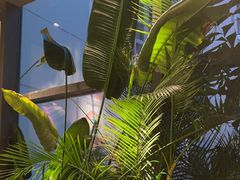 -大头椰·椰子鸡火锅(南宁万象城店)