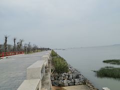-芒洲湿地公园