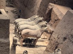 -真地道京味府·鲜橙烤鸭·北京菜(朝外大街东大桥店)