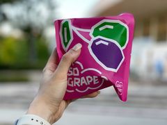 冰冰葡萄冻-泽田本家·铜锣烧(环贸店)