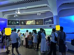 -上海儿童博物馆
