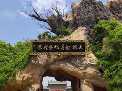 -大槐树寻根祭祖园