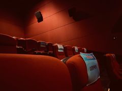 -万达影城(锦华万达广场IMAX店)