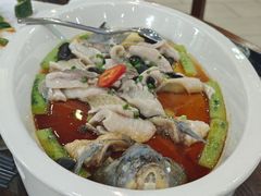 -绿雅居原生态农庄(小涌店)