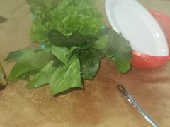 -濠轩阁特色生蚝火锅(水湾路店)