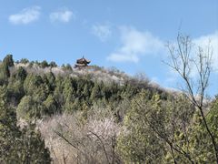 -白水寺森林公园