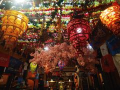 -吉祥圣雪藏餐