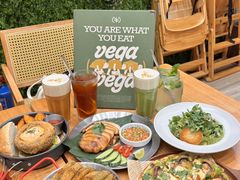 -VEGA VEGA 我行我素