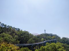 -金鸡山公园