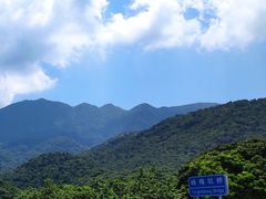 -杨梅坑