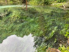 -叠溪松坪沟景区