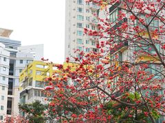 -深圳国际园林花卉博览园