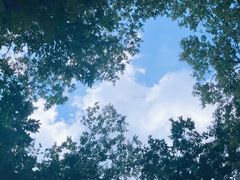 -沂蒙山旅游区云蒙景区(蒙山国家森林公园)