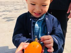 -楠溪江风景名胜区