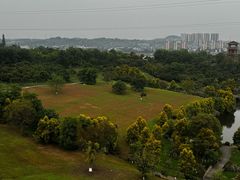 -张坝桂圆林公园