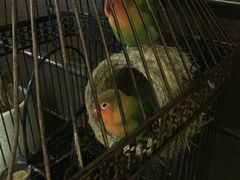 -芳满庭·江浙小馆(1912店)