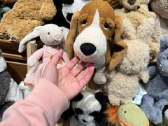-福州长乐国际机场