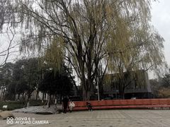 -成飞公园
