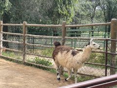 -青藏高原野生动物园