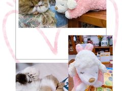 -泡泡玛特POPMART(蓝色港湾店)