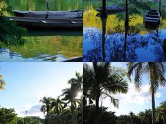 -深圳仙湖植物园