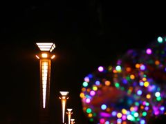 -南湖大桥