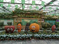 -兰陵国家农业公园