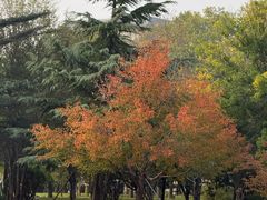 -河南省黄河迎宾馆