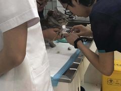 -可蒙动物医院·猫科·骨科中心(首义路店)