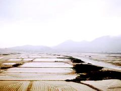 -北岐滩涂