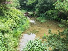 -杭州半山国家森林公园