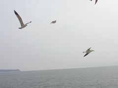 -长岛南北长山旅游景区