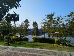 景点-飞来湖湿地公园