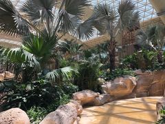 -杭州开元森泊度假乐园