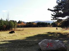 -北极村旅游风景区