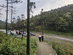 -武陵山森林公园