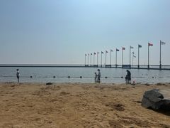 -碧海金沙