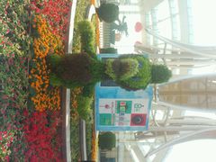 android_upload_pic-石家庄市植物园