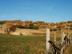 -塞罕坝国家级自然保护区