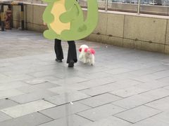 -万达广场(南京江宁店)