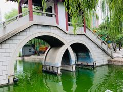 -团结湖公园