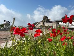 -白草畔自然风景区