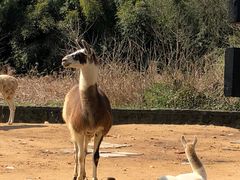 -杭州野生动物世界