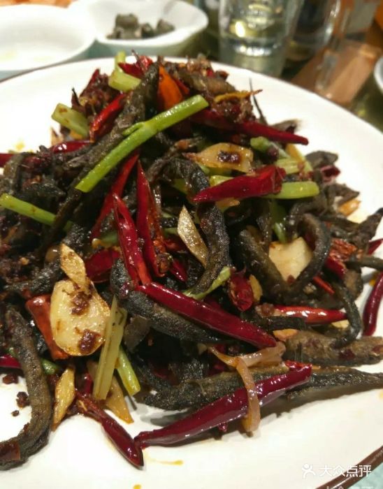 朗朗海鲜-干煸小泥鳅-菜-干煸小泥鳅图片-大庆美食-大众点评网