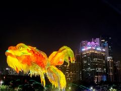 -海心沙亚运公园