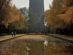 -玲珑塔公园