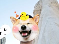 -鼓浪屿·皓月园