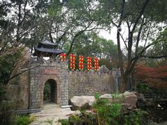 -南山植物园